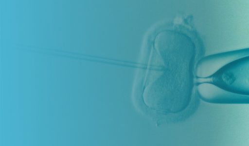 Essential Investigation