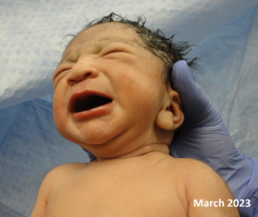 Limpopo Fertility Clinic – Newsletter March 2023