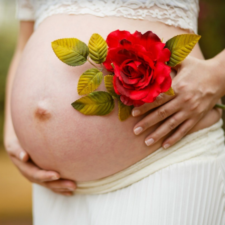 Limpopo Fertility Clinic – Newsletter January 2024