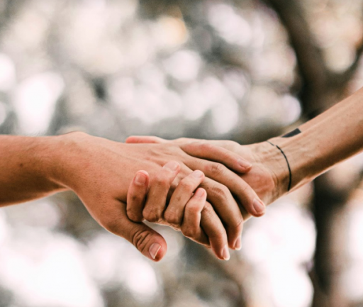 Limpopo Fertility Clinic – Newsletter April 2024